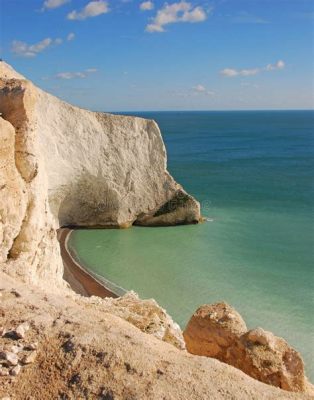  Insolite Conchiglie: L'Isle di Wight Scogliera e le Sue Curiose Abitudini!